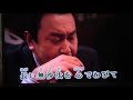 はぐれ雪虫<原曲奥山えいじ*nkms1349