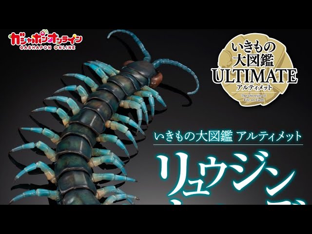 【いきもの大図鑑ULTIMATE】リュウジンオオムカデ 新品・開封のみ ラスト1 いきもの大図鑑アルティメット リュウジンオオムカデ 開封動画