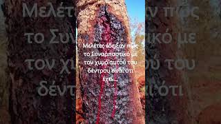 Τι είναι Το Dragon's Blood στην Total Reset RED και τι κάνει στο Δέρμα; #shortsgr #fskin