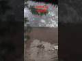 #viralvideo #nature #sakshidhoni #trending #funny #shortsfeed