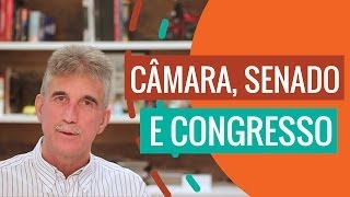 Qual a diferença entre Câmara, Senado e Congresso? | Política Sem Mistérios, por Milton Monti