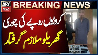Karachi: Sahil Police operation arrests domestic worker involved in theft worth crores of rupees