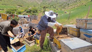 Beekeeping Adventures: Transferring Queen Bees & Building Milad's House