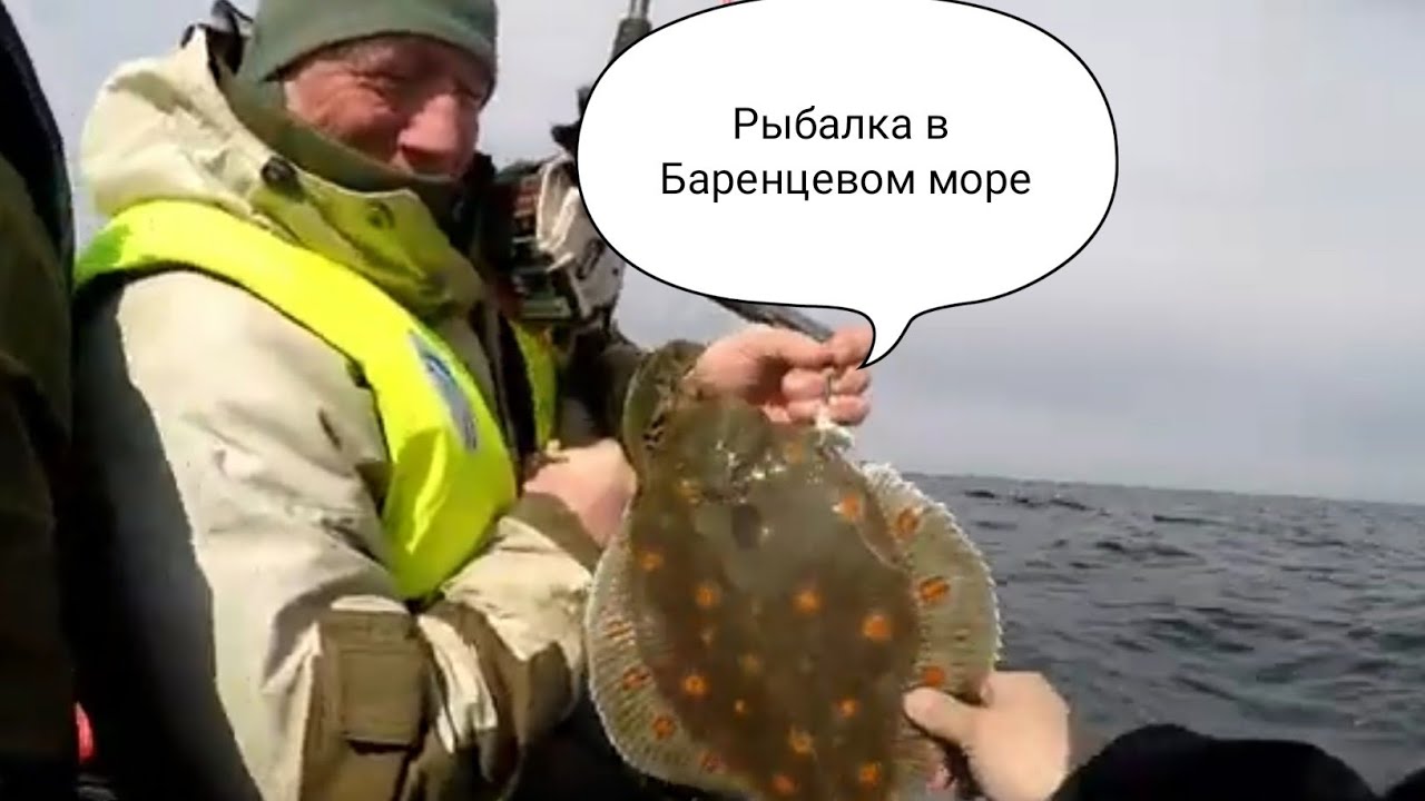 Англия ловила рыбу в баренцевом море. Морской налим Баренцева моря. Налим морской Мурманск. Рыбалка трески на Баренцевом море. Баренцево море ловля рыбы Великобритания.