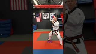 One step sparring techniques hands 16-20