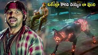 Karthi Telugu Super HIt Movie Ghost Dog Comedy Scene | Telugu Movies | Cinema Chupistha