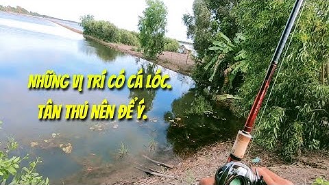 Câu cá lóc mùa lũ (P20).Lên cá liên tục.Thợ săn cá lóc.