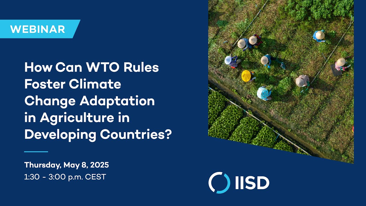 Webinar | How Can WTO Rules Foster Climate Change Adaptation in ...