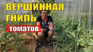 Пора! Пора! Профилактика от вершиной гнили. Не пропустите, не опоздайте.