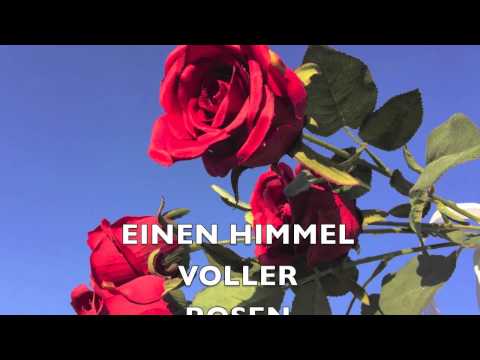 Video starten