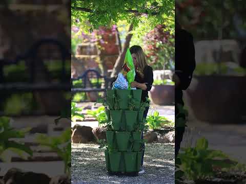 Planting A Vertical Strawberry Garden! ???