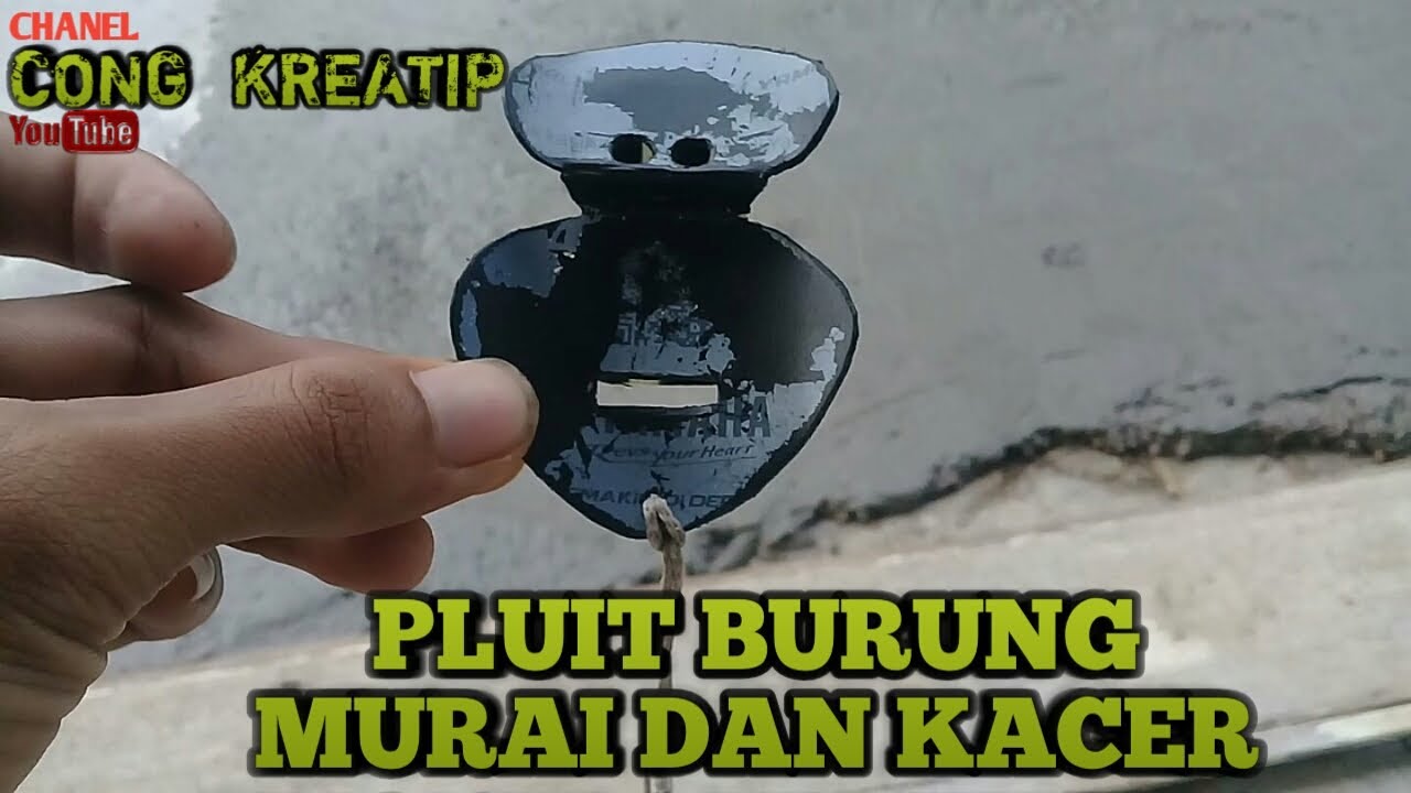 Cara membuat PLUIT BURUNG yg jarang orang tau || pluit sapung murai dan kacer