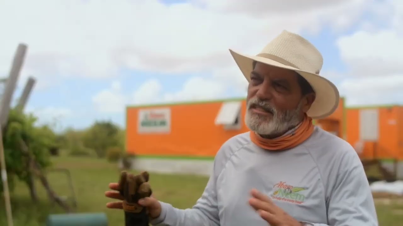 Tourism Today: Heal In Love, Abaco Neem