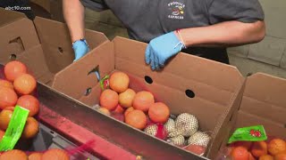 Produce Express packing food boxes for families in need