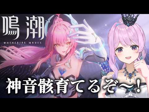 【#鳴潮】289 音骸厳選、するよ【#ぶいきゃす杯 】 #PR #冬陽リッカ