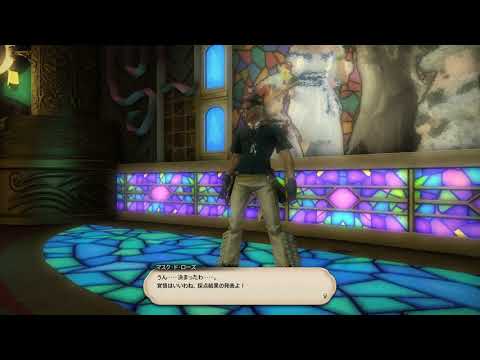 【FF14】ファッションチェック満点獲得