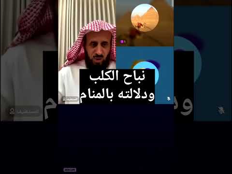 نباح الكلب في المنام احذر هذه الرؤيا ليست عادية أبدا