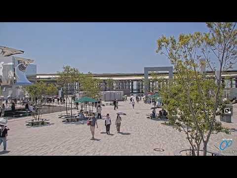 Expo2025 大阪・関西万博 会場ライブカメラ シグネーチャーゾーン2025_08_03_1115