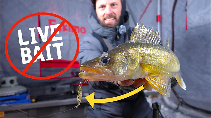 New Lure is on FIRE for Ice Fishing Walleyes! NO LIVE-BAIT!