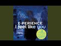 Miniature de la vidéo de la chanson I Feel Like You (Dcx Radio Club Mix)