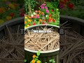 Create a Compost Bin from Recycled Pallets
