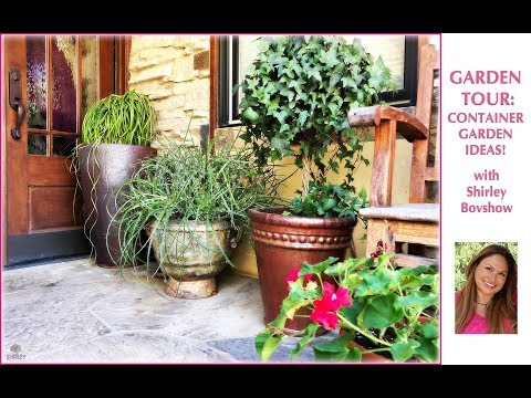 Garden Tour 🌿CONTAINER