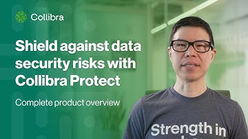 Collibra Protect Product Explainer