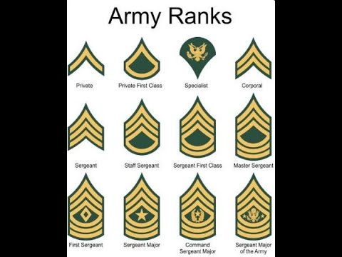 US Army Enlisted Ranks Explained #TWDBrand - YouTube