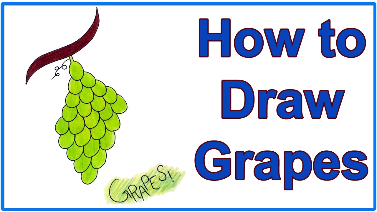 How to draw grapes step by step EASY WAY YouTube