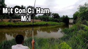 Câu Cá Gần Sông Vàm Cỏ Đông