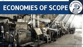 Economies of Scope - Verbundeffekte, Bündelungseffekte & Verkettungseffekte einfach erklärt