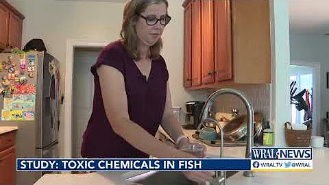 Study finds toxic chemicals in freshwater fish eaten in NC