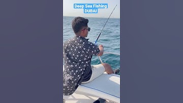DUBAI’s Deep Sea Fishing | Check My Channel for Full Video 🤞