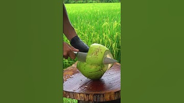 Satisfying Coconut Cutting | ASMR Sharp Knife in Action