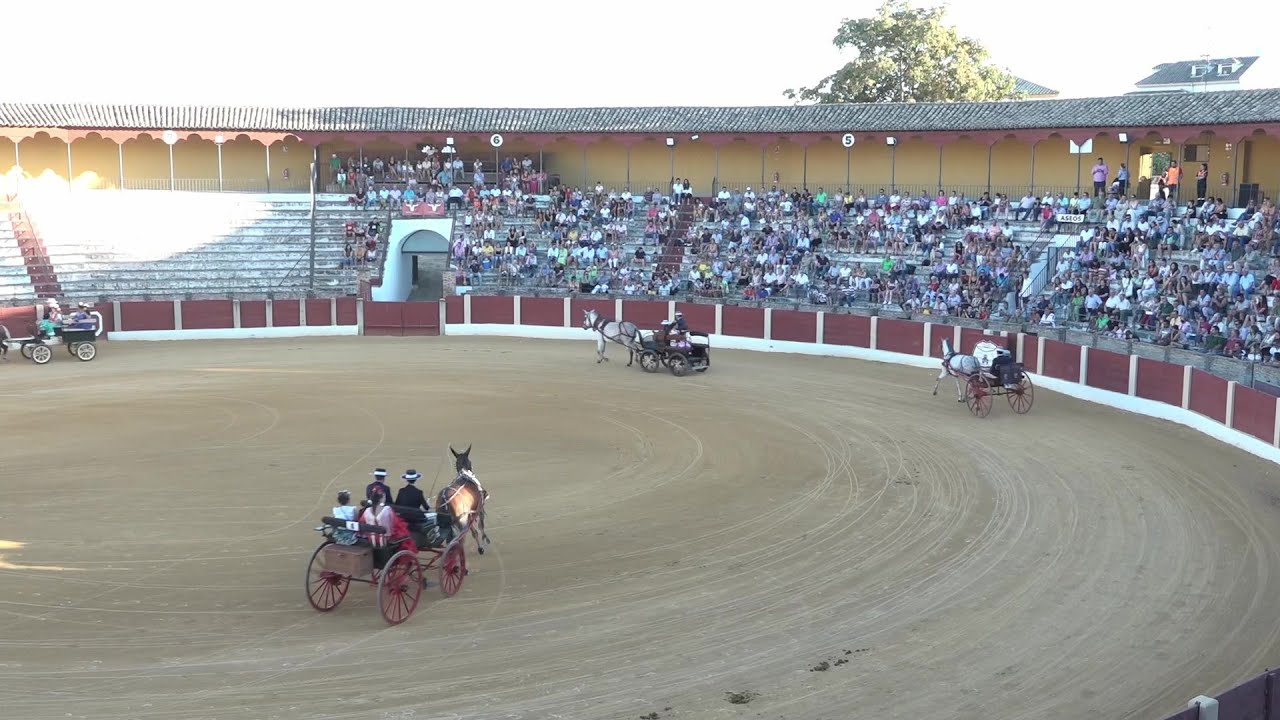 Exhibición de Enganches de Caballos de Baeza 2022 1 Exhibición de Enganches de Caballos de Baeza 2022