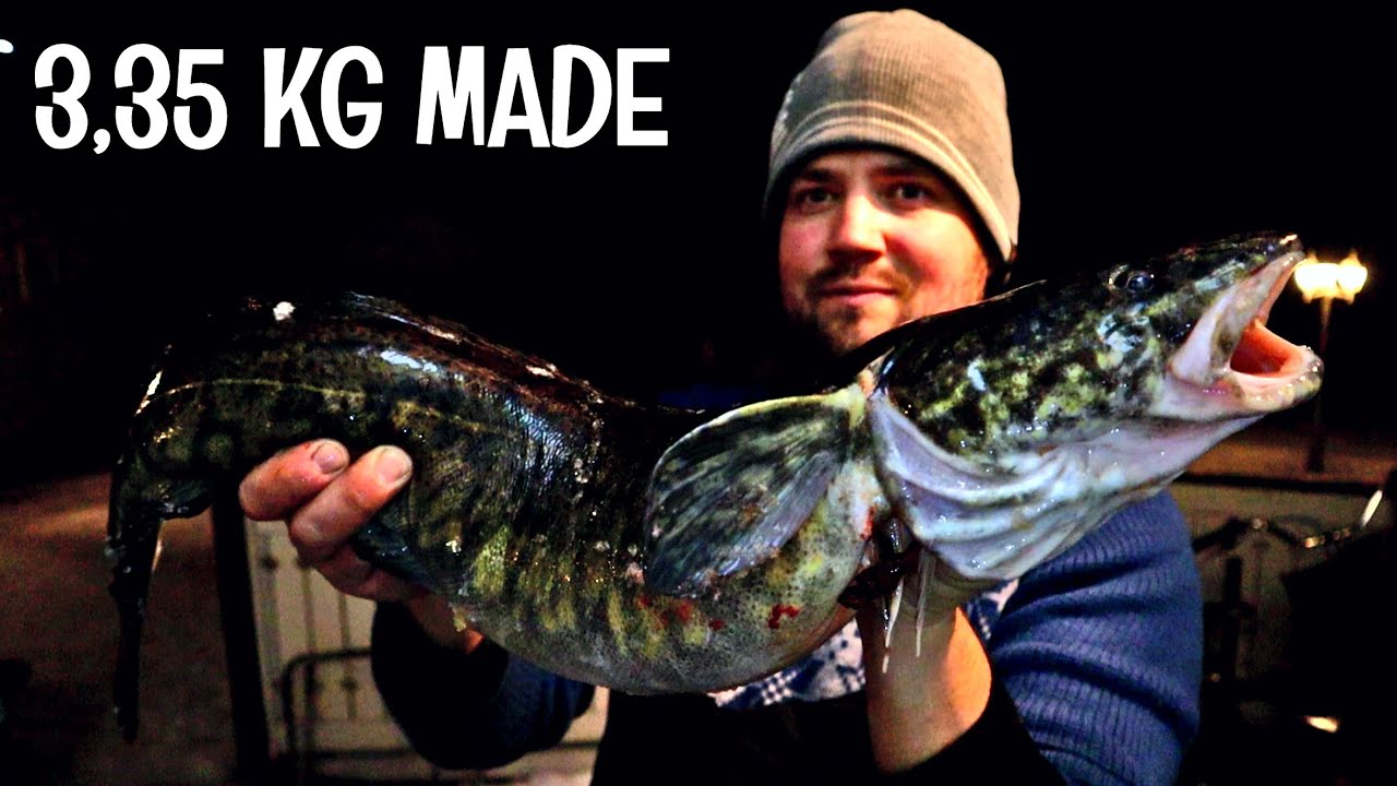 SAIN ENNÄTYS MATEEN KATISKALLA - MATEEN NYLKEMINEN PALJAIN KÄSIN - KEITETÄÄN KALALIEMI JA MADEKEITTO