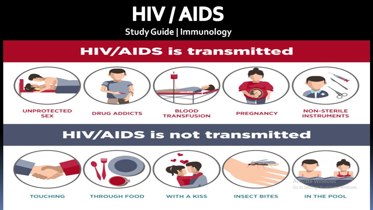 HIV AIDS life cycle immunology |Immunology | Study Guide| - YouTube