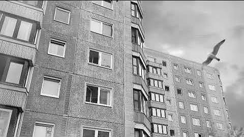 MYSQFLX - Black / Synth-Pop with Digitone, Digitakt, MonoLancet, Blofeld and Sequential OB-6.