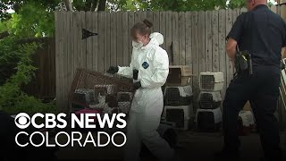 Neighbors shocked to learn Colorado home had animals living inside in dreadful conditions