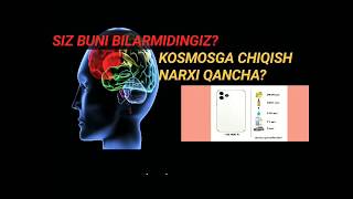 СИЗ ХАМ БУНИ БИЛАСИЗМИ?  СИЗ ЕШТМАГАН ФАКТЛАР (КОСМОСГА ЧИКИШ НАРХИ КАНЧА)