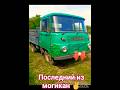 #shorts #robur последний из могикан#маз#стопвойна#мтз#юмз #хтз#трак#ifa#т150#т40#газ #зил#краз#фура