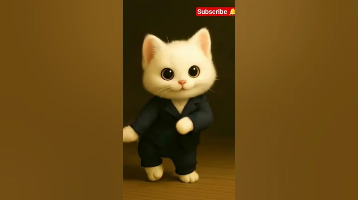 Video 10605171: purr, cat dance cute animals, feline dance, cat funny dance animal, cat cute love dance