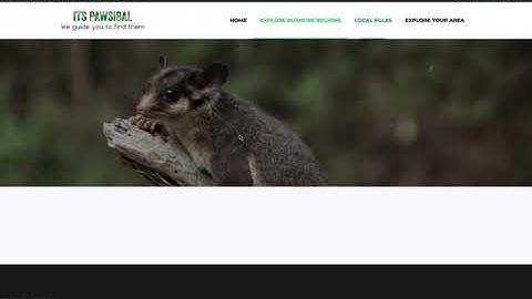 Iteration2 UI testing