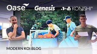 Modern Koi Blog #5426 - What is the lifetime of UVC