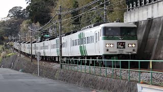 新年初撮り！185系 251系 Ｅ259系 黒船電車 午後の撮影記録 伊豆急行線