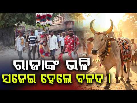 ରାଜା ଭଳି ସଜେଇ ହେଲେ ବଳଦ | Unique Balada Jatra Celebrated In Bhuban, Dhenkanal | Argus News