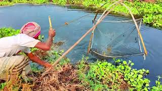 Traditional Net Fishing - Professional Fish Hunter Catching Fish By Net (Part - 40)
