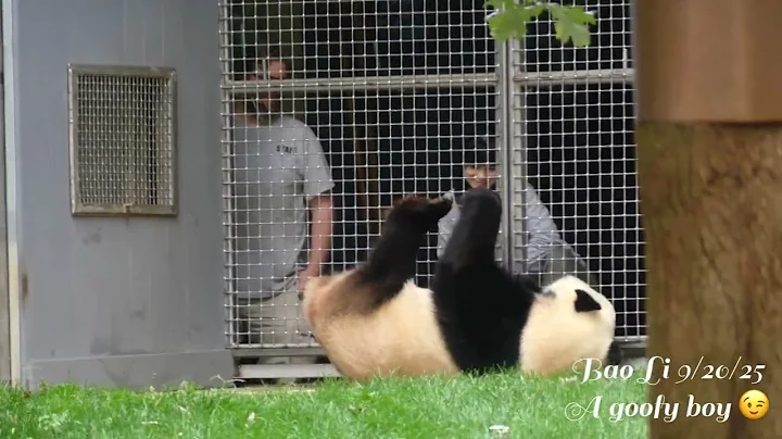 A Date With ** 💛Bao Li💛  - A goofy & curious boy😉😊😎 9/20/2025 Pt1