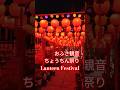おふさ観音 提灯祭り Lantern festival at Ofusa-Kannon in Nara Japan travel 日本旅269