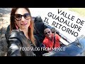 Alla scoperta della Valle de Guadalupe - IL RITORNO  FOOD VLOG MESSICO